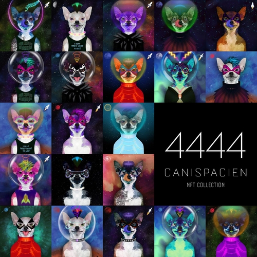Space Dog -Inspired NFT Collection ‘CaniSpacien’ Sells Out